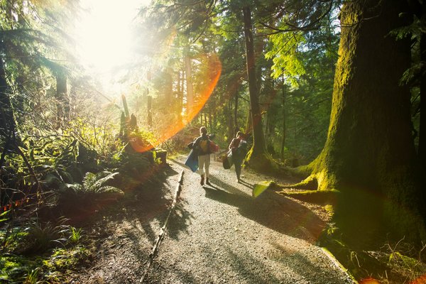 Quels sont les itinéraires recommandés pour une randonnée sur le Chemin de Saint-Jacques en Espagne?