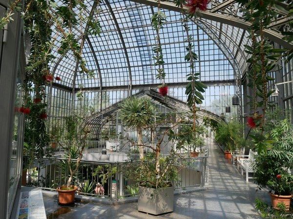 Comment organiser une visite des jardins botaniques à Singapour?